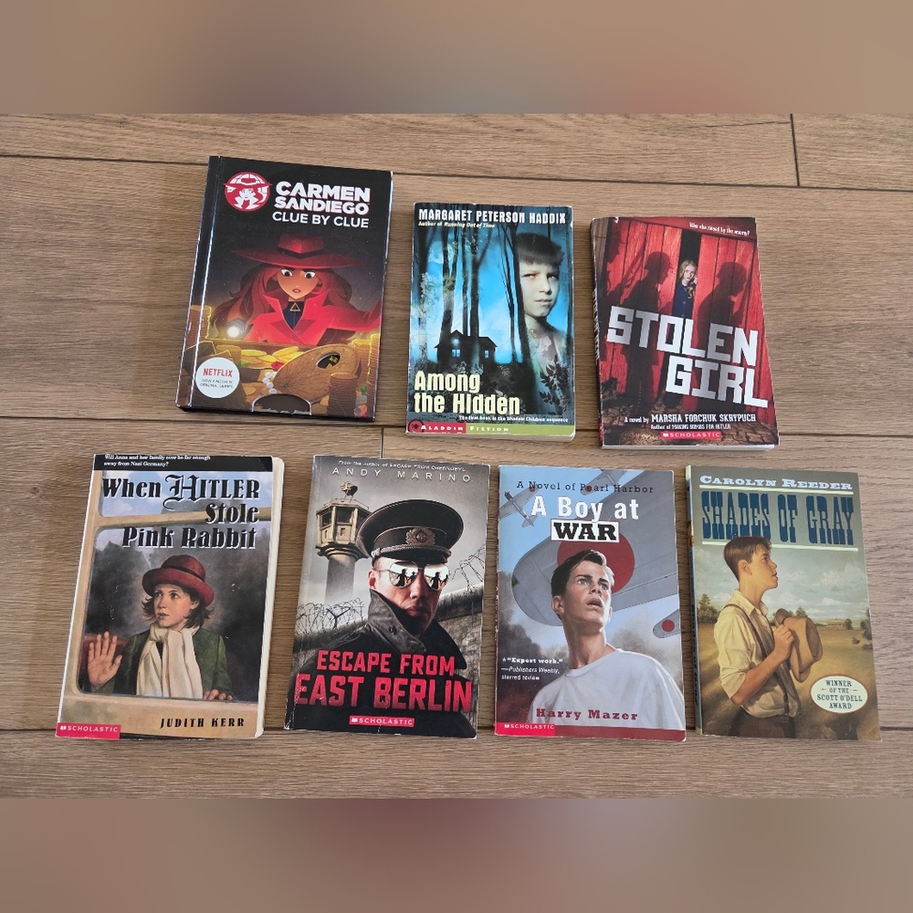 Lot Of Chapter Books Youth / Kids Carmen Sandiego Clue